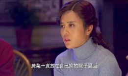 二婶第39集在线观看,揭秘家族秘密，情感纠葛再升级